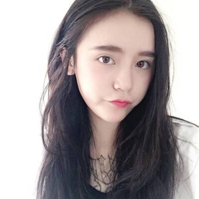 凤凰令果盘版下载
